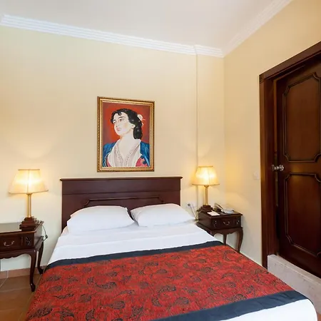 Antique Palace Museum (adults Only) מלון