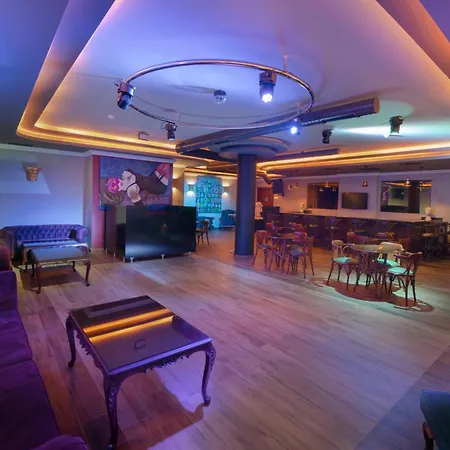 Antique Palace Museum (adults Only) 酒店 5*