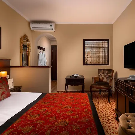 Antique Palace Museum (adults Only) 5*