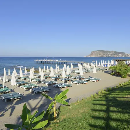 Antique Palace Museum (adults Only) 5*